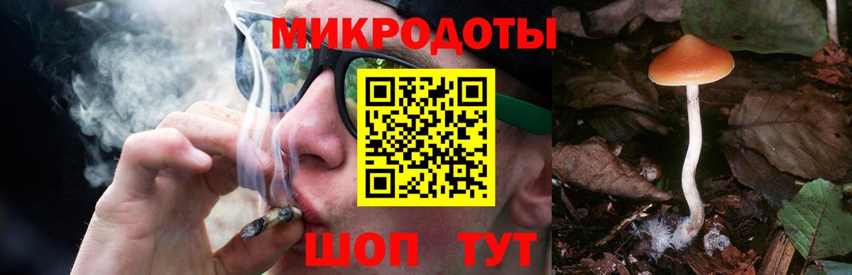 Кохма  Галлюциногенные грибы Magic Shrooms  Вход с VPN 